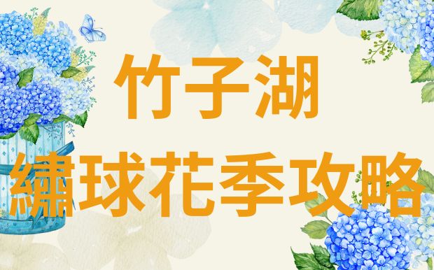 2025 竹子湖繡球花季：訂製禮品，讓五彩花海的回憶更動人！ 