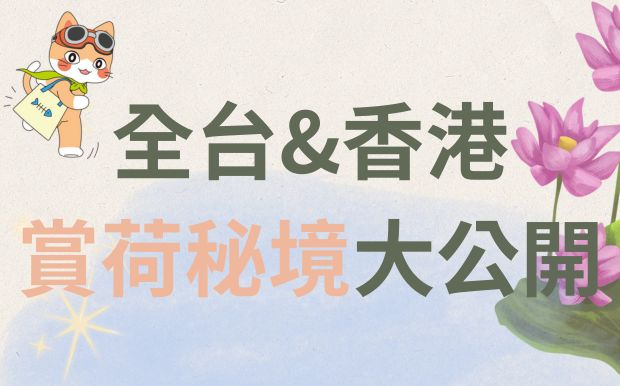 夏日限定！全台&香港賞荷秘境大公開：花季、美拍、訂製禮品一次Get！ 