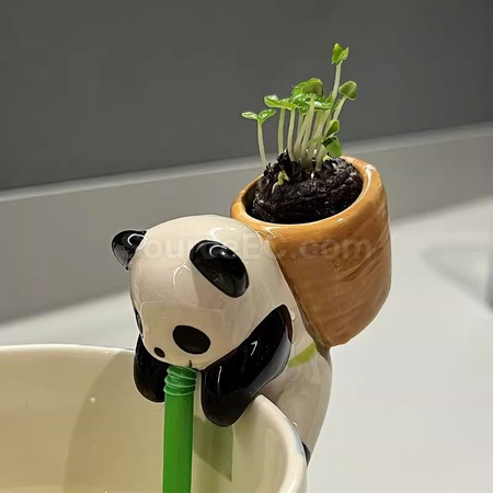 禮品訂造創意擺件植物盆栽紀念品