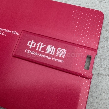 卡片USB手指 | USB手指卡片印刷 | USB卡片企業禮品 | USB卡片儲存器 | USB Card