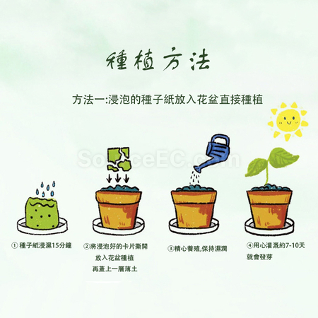 禮品訂造種子紙扇紀念品