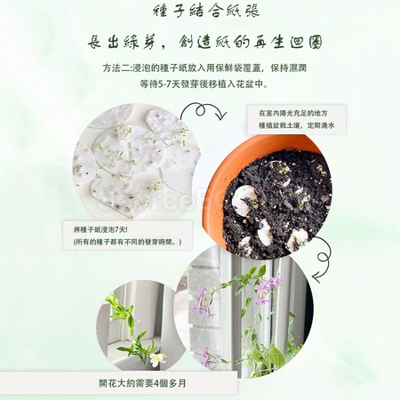 禮品訂造種子紙冰櫃貼紀念品