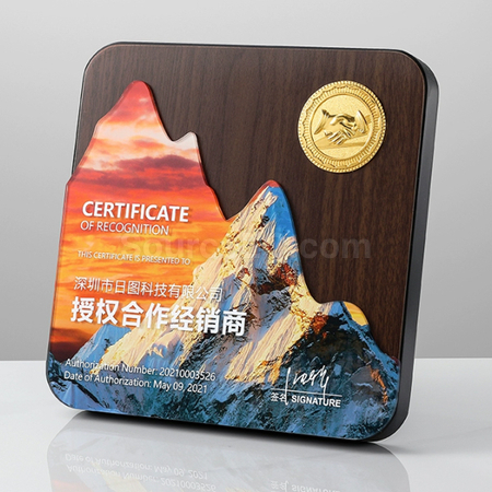 禮品訂造仿木獎牌 紀念品