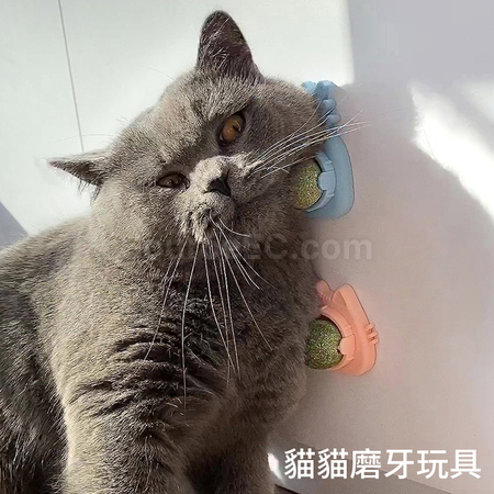 禮品訂造貓咪貓薄荷旋轉球紀念品