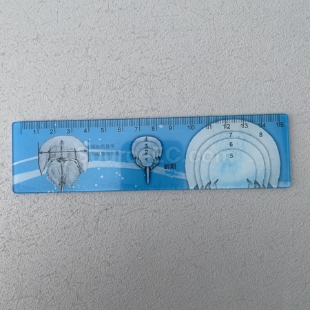 直尺 | 文具尺子 | 鋼尺 | 鑰匙扣尺 | 宣傳間尺禮品