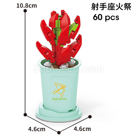 禮品訂造咖啡杯植物系列積木-12星座多肉植物系列紀念品