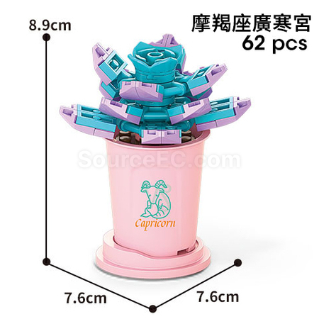 禮品訂造咖啡杯植物系列積木-12星座多肉植物系列紀念品