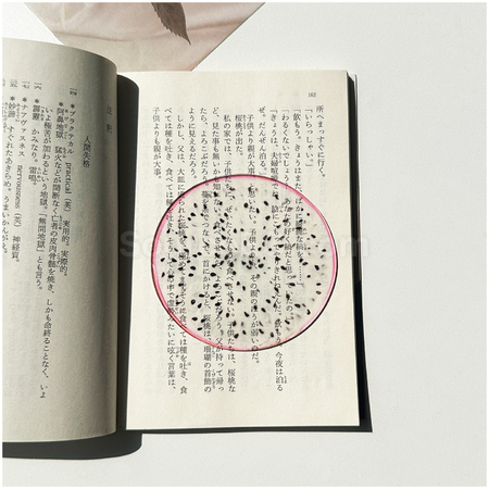 禮品訂造半透亞克力水果書籤紀念品