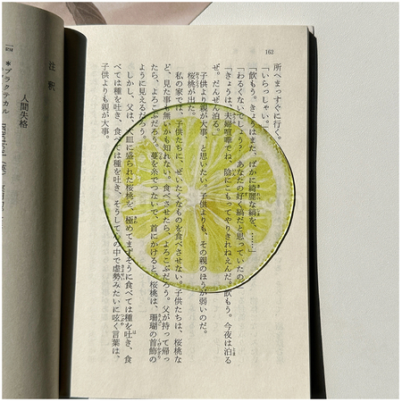禮品訂造半透亞克力水果書籤紀念品