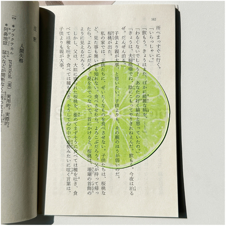禮品訂造半透亞克力水果書籤紀念品