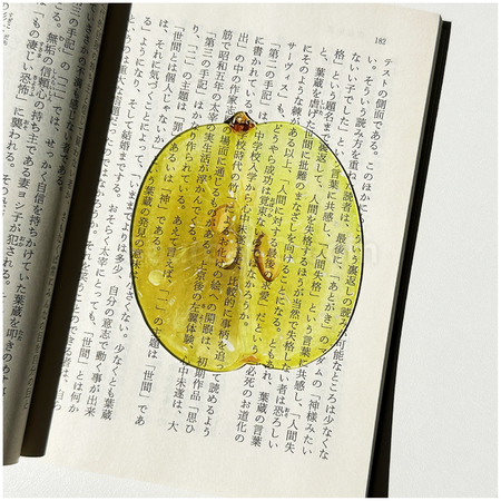 禮品訂造半透亞克力水果書籤紀念品