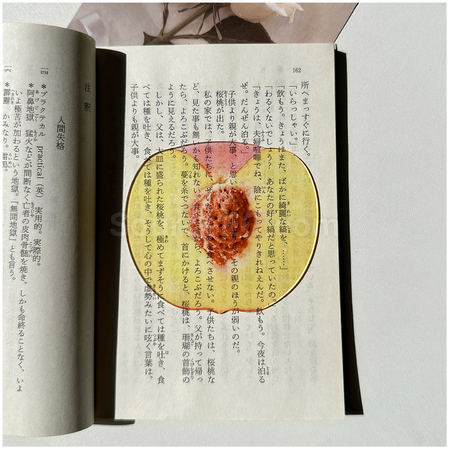 禮品訂造半透亞克力水果書籤紀念品