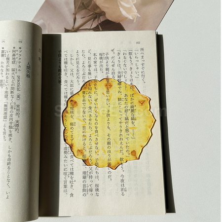 禮品訂造半透亞克力水果書籤紀念品