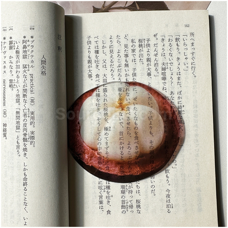 禮品訂造半透亞克力水果書籤紀念品