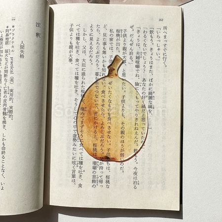禮品訂造半透亞克力水果書籤紀念品