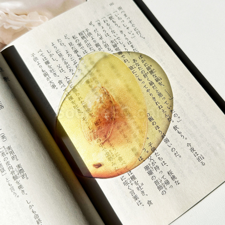 禮品訂造半透亞克力水果書籤紀念品