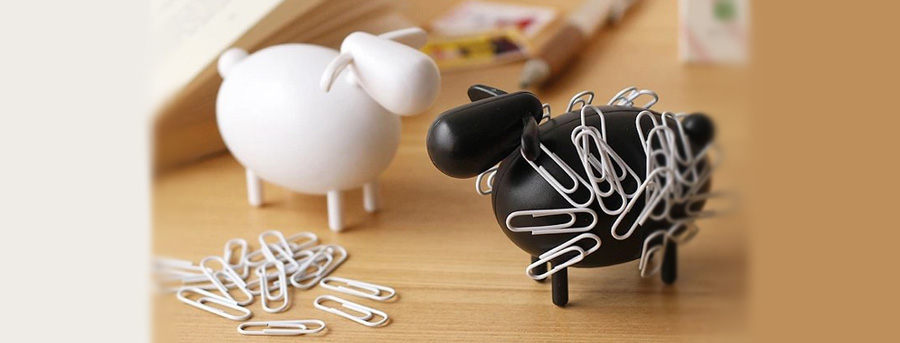 sheep_stationary
