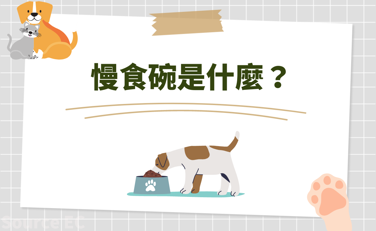 寵物用品問題