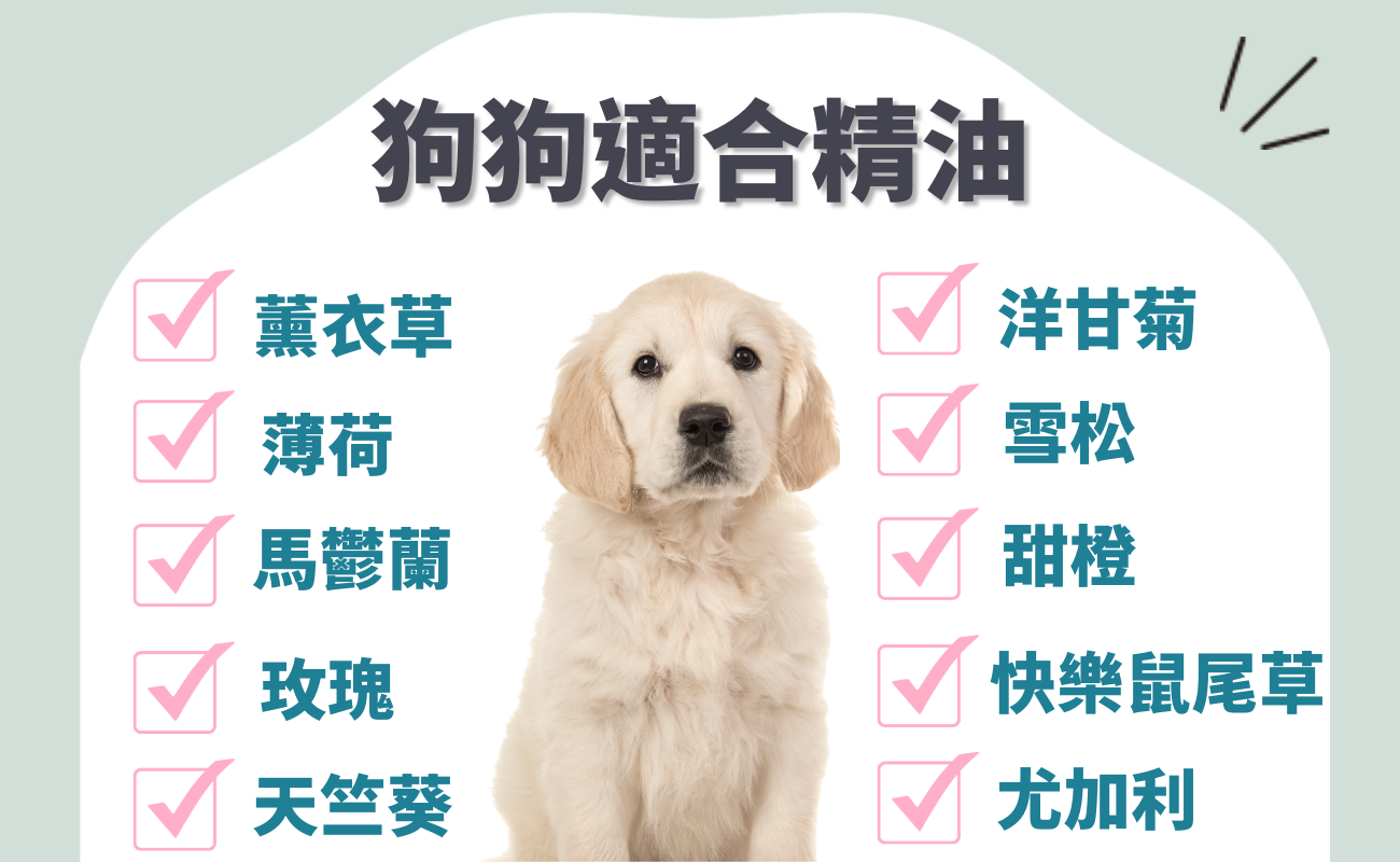 狗可以用精油嗎