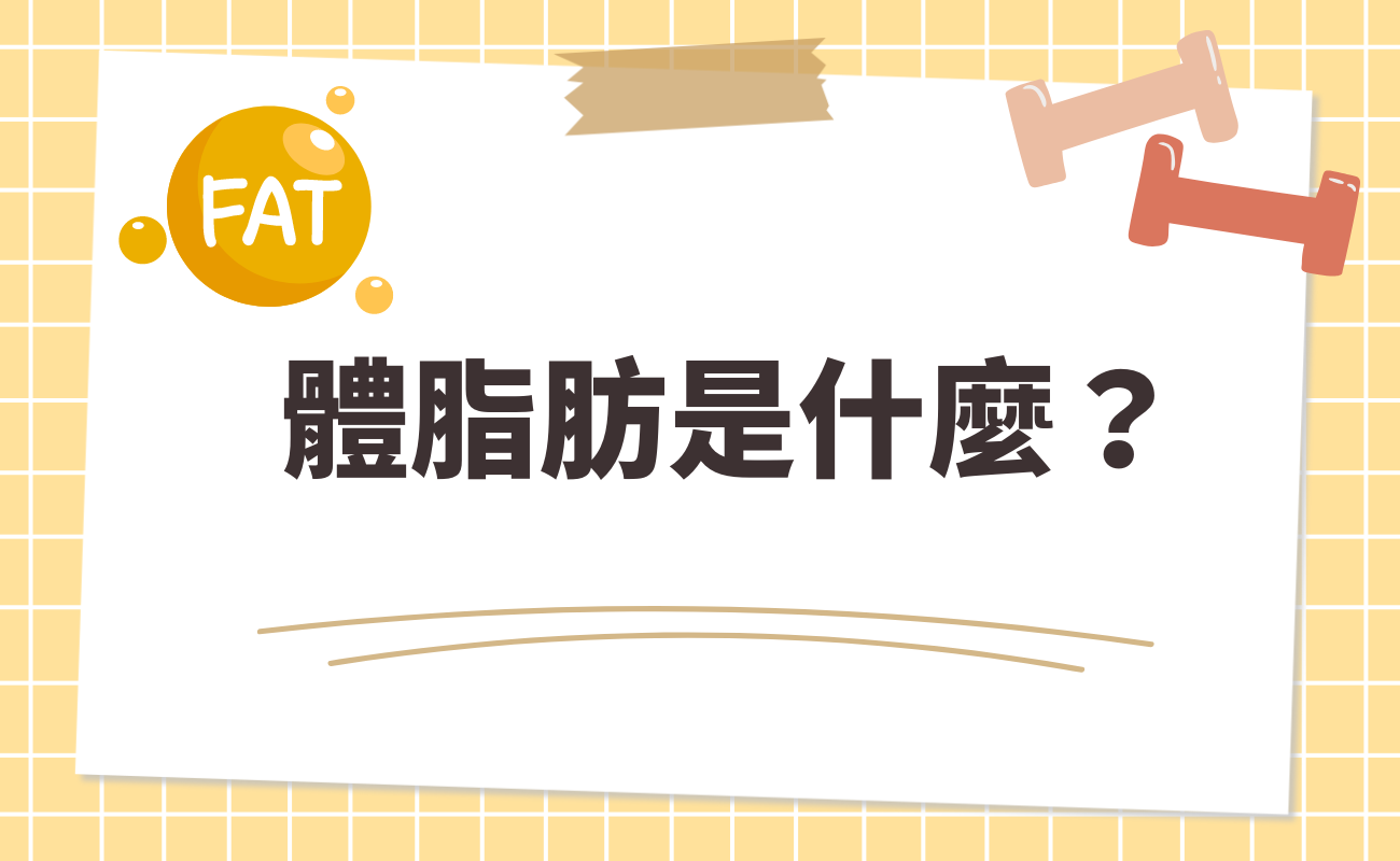 體脂肪是什麼