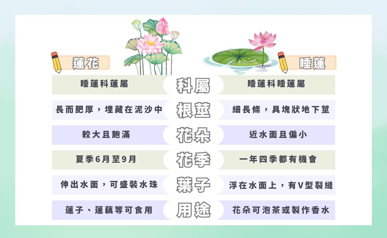 蓮花睡蓮一樣嗎