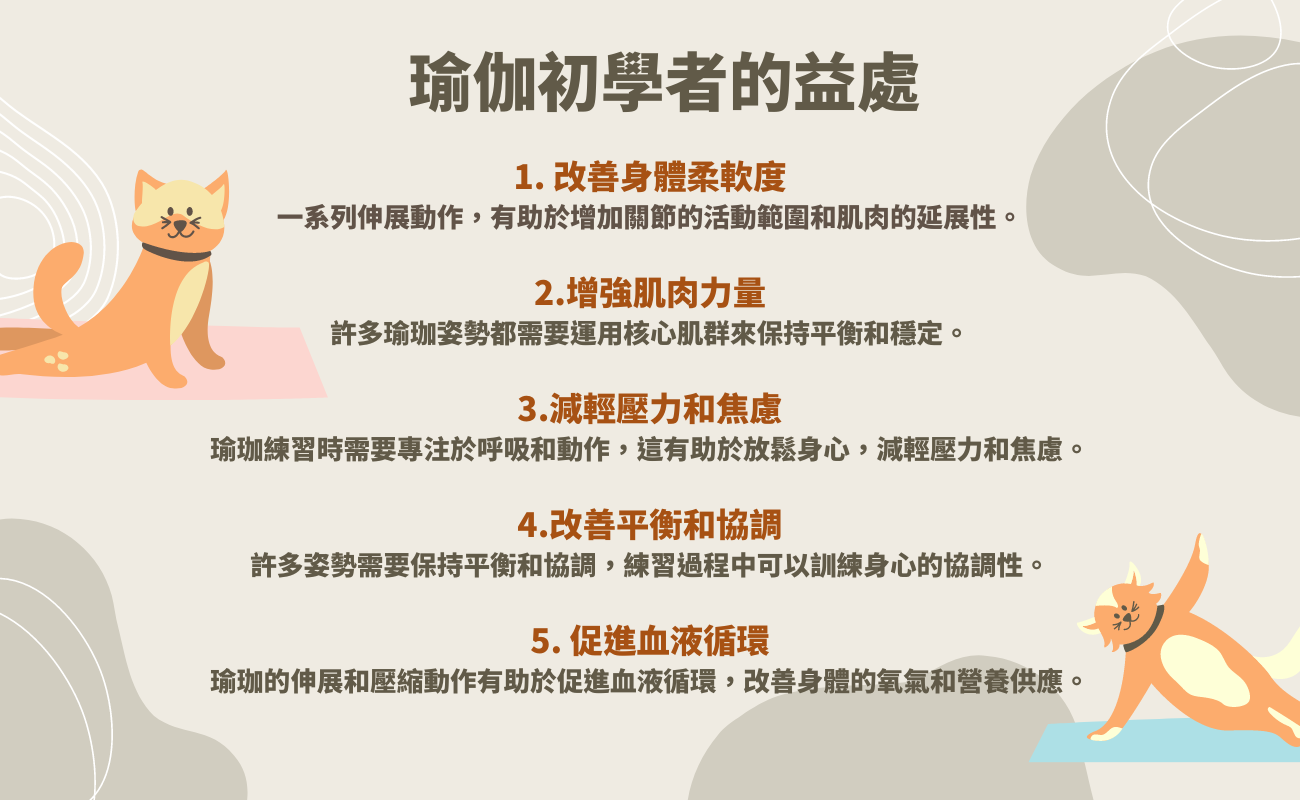 瑜珈新手必學指南