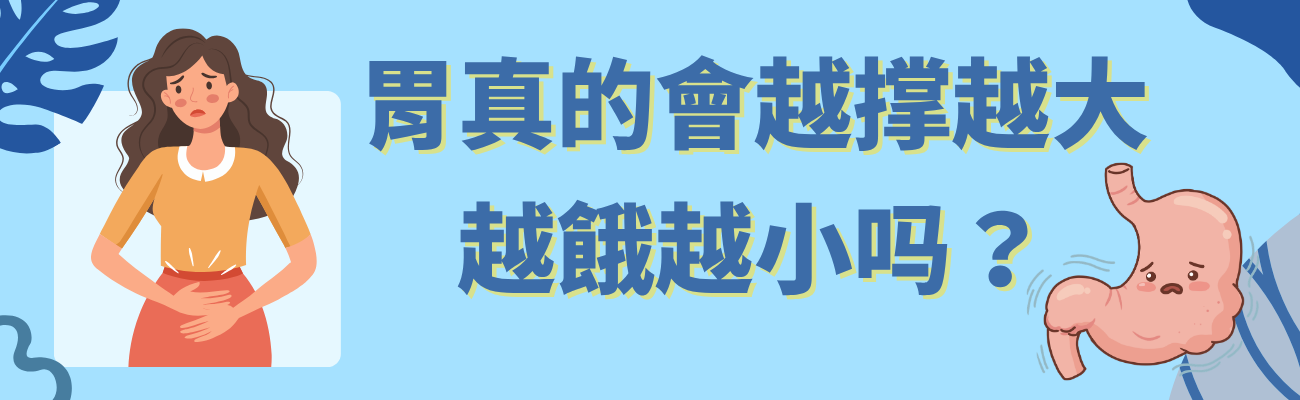 胃的彈性真相