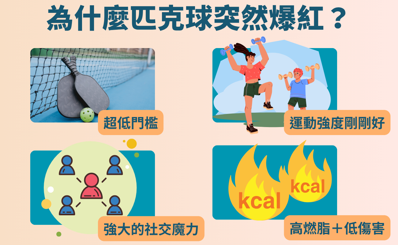 匹克球是什麼, 匹克球規則, 適合退休族的運動, 銀髮族有氧運動, 匹克球裝備, 台灣匹克球