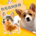 可愛小狗透明毛髮收納盒
